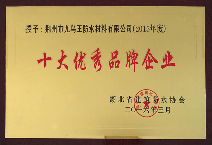 十大優(yōu)秀品牌企業(yè)